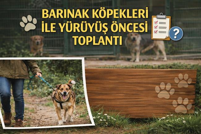 BARINAK KÖPEKLERİ İLE YÜRÜYÜŞ ÖNCESİ TOPLANTI