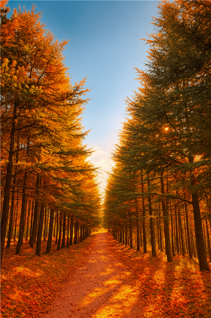 SUGÖREN - ÜREĞİL SEDİR YOLU DOĞA YÜRÜYÜŞÜ