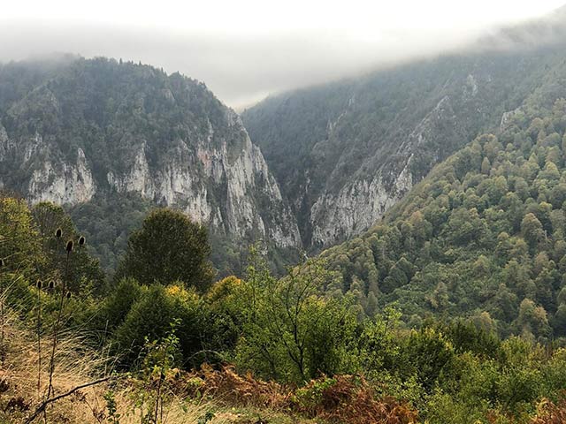PAZARÇAYIRI ALTIOLUK YANIKDERE KUZUYAYLA 17KM ZOR SPORTIF YÜRÜYÜŞ