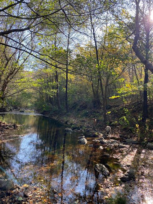 ÇATALCA BİNKILIÇ DERESİ & YEŞİL TÜNEL