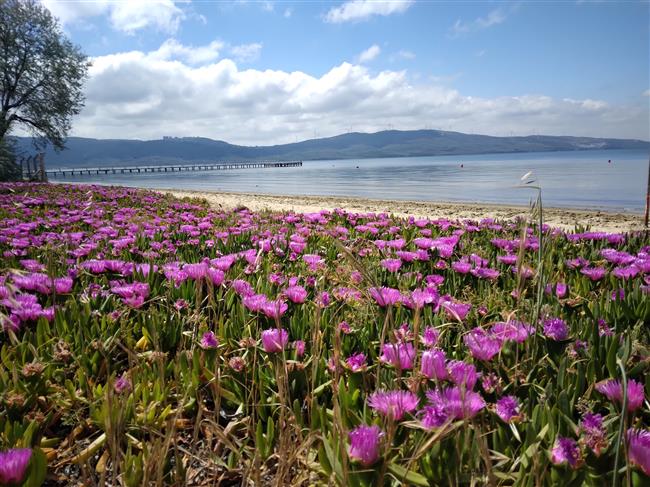 MİSYA YOLU, ERDEK KAPIDAĞ YARIMADASI, 2 GÜN TREKKİNG
