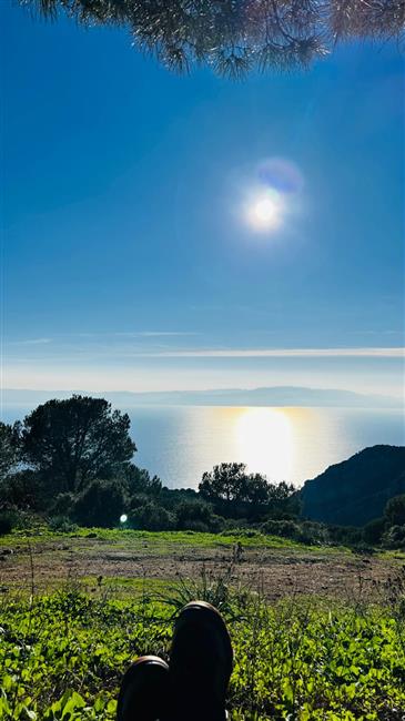 KÖRFEZ MANZARALI SPORTİF DOĞA YÜRÜYÜŞÜ