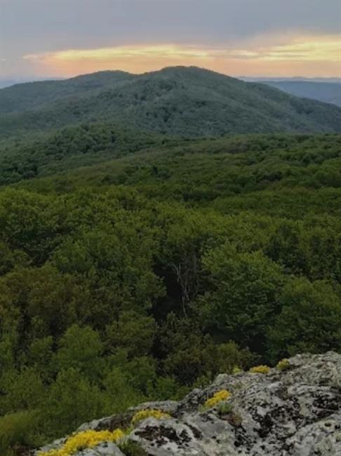 ISTIRANCALAR YENİ KEŞİF PARKURU SPORTIF DOĞA YÜRÜYÜŞÜ
