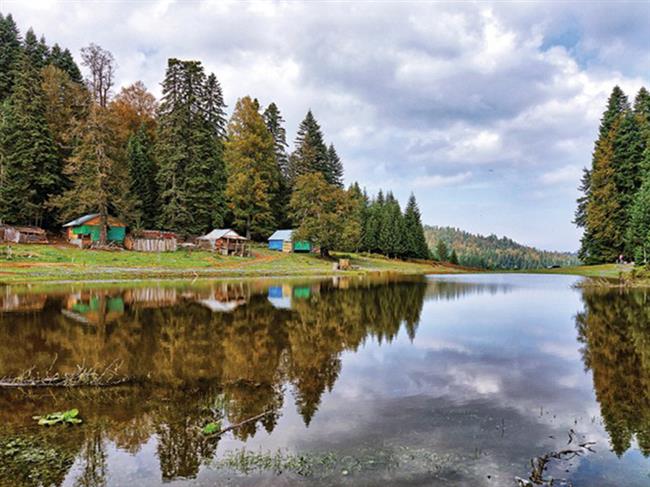 PÜRENLİ YAYLASI KAMP