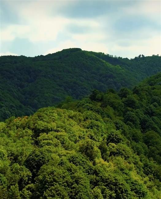 KOCAELİ DOĞADA HUZUR ROTALARI 2 SPORTIF DOĞA YÜRÜYÜŞÜ