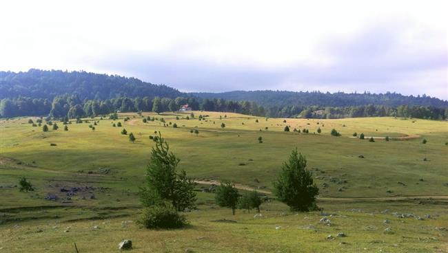 ALTIOLUK YAYLA-SOĞUCAK YAYLASI HIKING