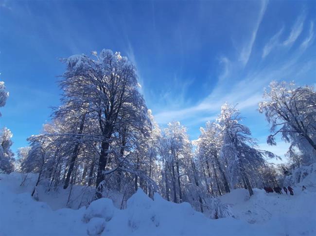 KUZUYAYLA - KARTEPE KAR YÜRÜYÜŞÜ