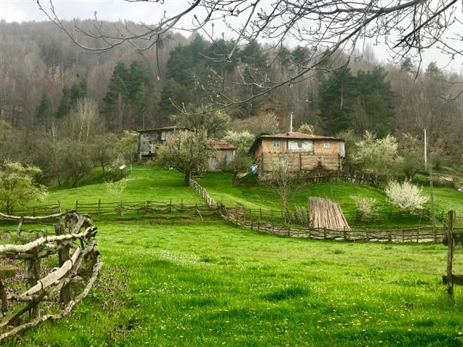 ELMALI KÖYÜ ÇİVİSİZ CAMİİ VE ALIÇ YAYLASI SPORTİF DOĞA YÜRÜYÜŞÜ