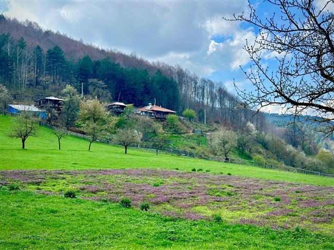 ELMALI ALIÇ YAYLASI SPORTİF DOĞA YÜRÜYÜŞÜ
