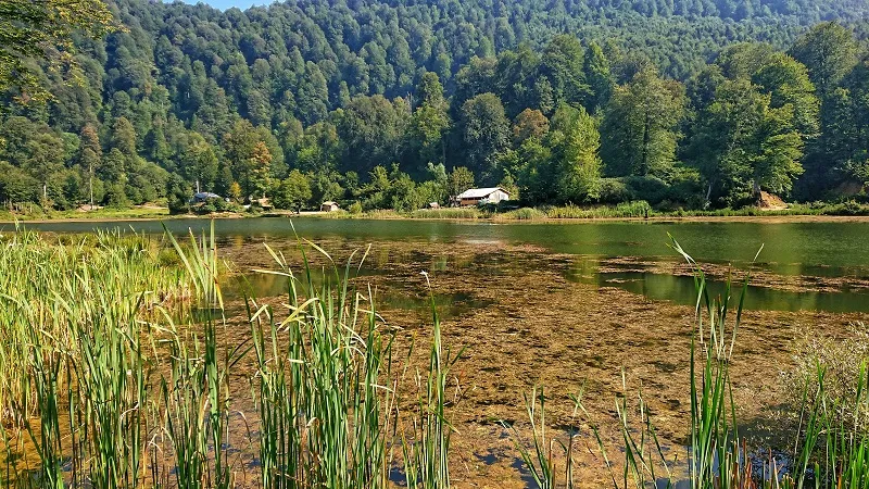 ÇAMLICA GÖLÜ - GÜZLEK AKYAZI
