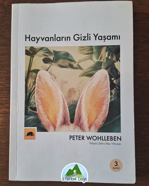 📚 KITAP SÖYLEŞISI HAYVANLARIN GIZLI YAŞAMI
