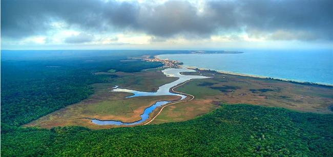 BAHAR DA LONGOZ ORMANI