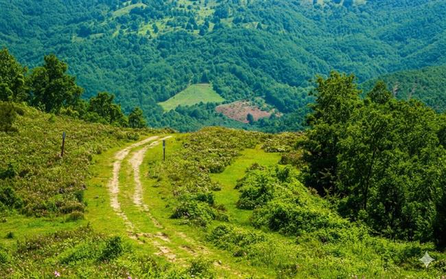 SERMAYECİK - ÇUKURKÖY